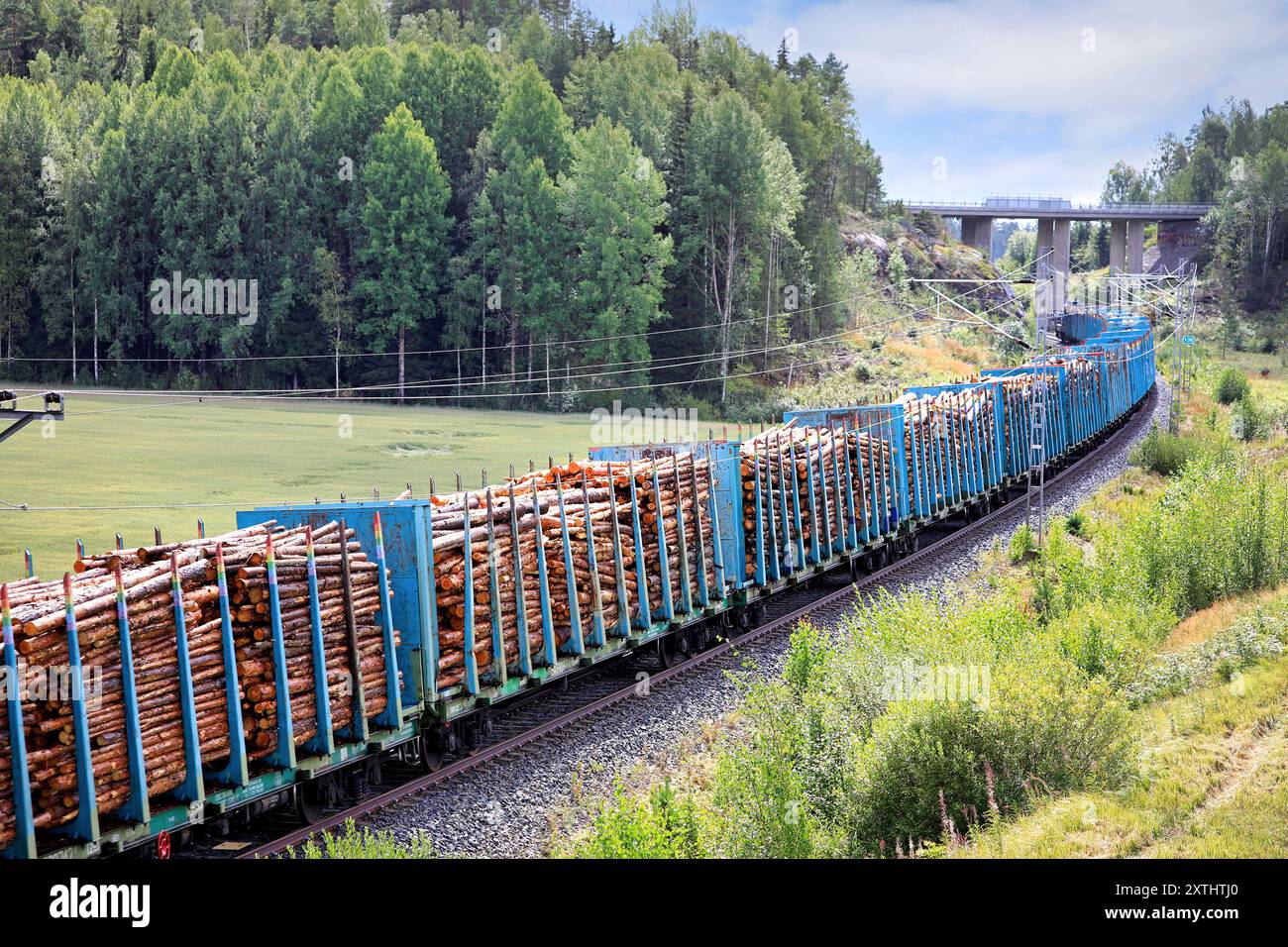Locomotiva Fenniarail Oy che porta al mulino un lungo treno merci con vagoni pieni di legno di cellulosa, vista posteriore. Salo, Finlandia. 10 agosto 2024. Foto Stock