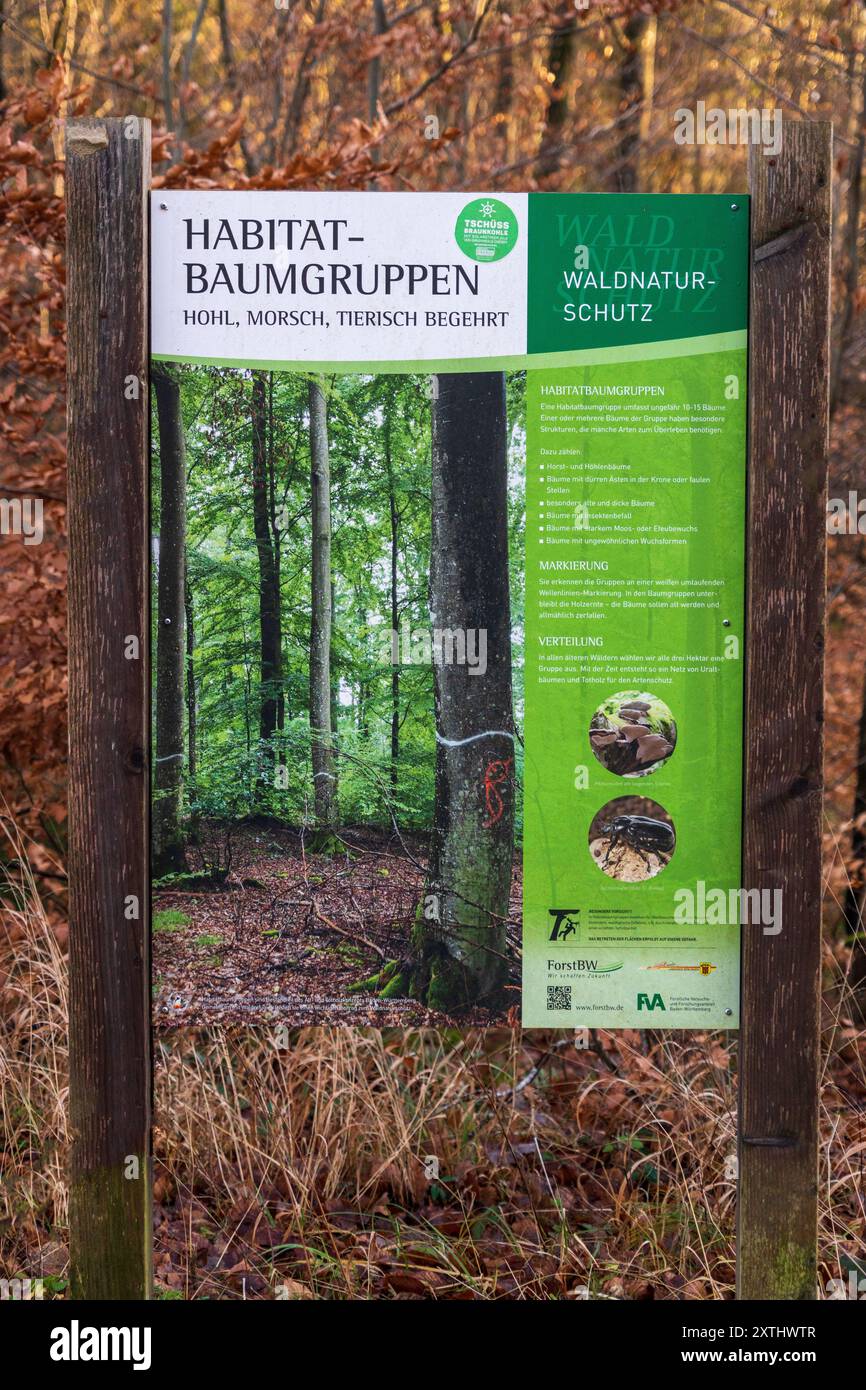 Un cartello didattico intitolato 'Habitat Baumgruppen' spiega gli sforzi per la conservazione delle foreste lungo un sentiero nel distretto forestale di Schönbuch. Foto Stock