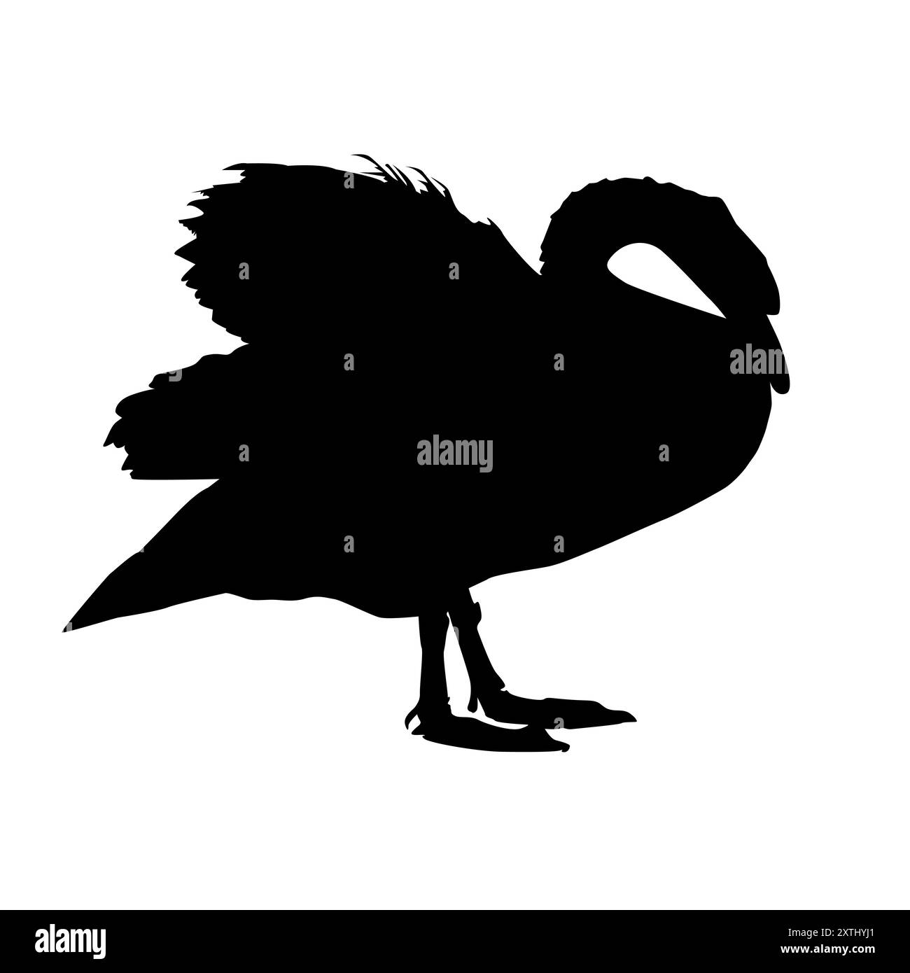 Silhouette di cigno. Un solo animale d'acqua che riposa sulla riva del lago. Il cigno bianco muta sta sulle zampe. La fauna selvatica cygnus. Progettazione per fauna, biologia o ornitologia Illustrazione Vettoriale