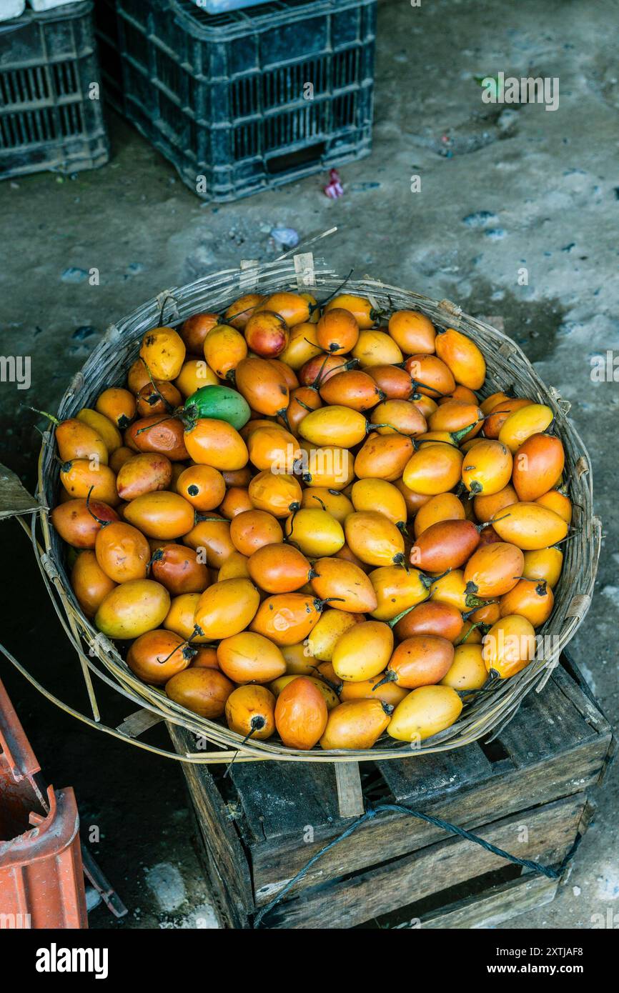 Pomodori, la Taña, zona di Reyna, dipartimento di Uspantan, Guatemala, America centrale Foto Stock