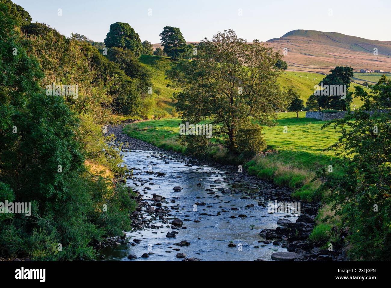 Il fiume Ure a Bainbridge, Wensleydale, Yorkshire Dales National Park, North Yorkshire Foto Stock