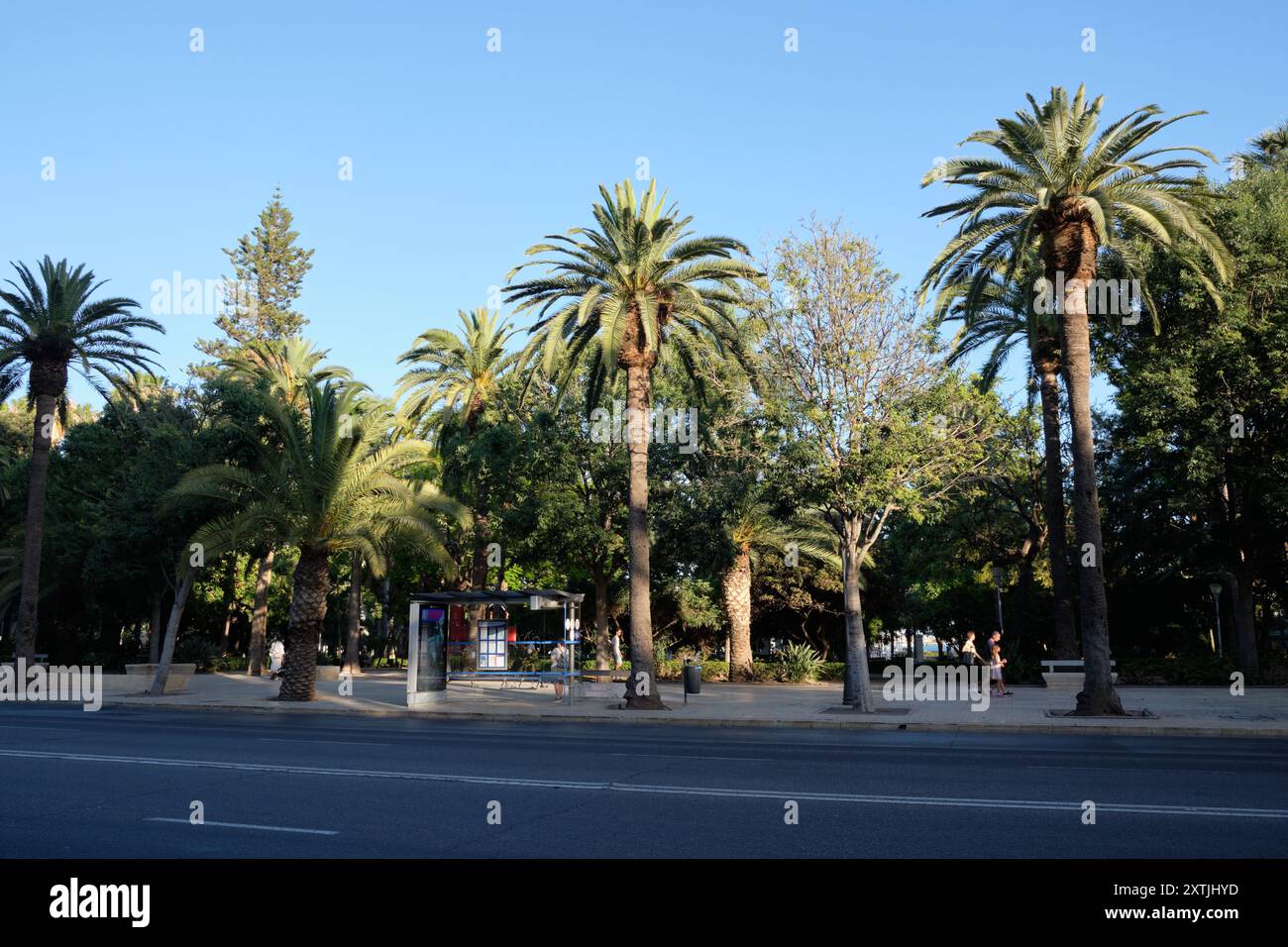 Il parco di Málaga, El parque de Málaga, Spagna meridionale. Foto Stock
