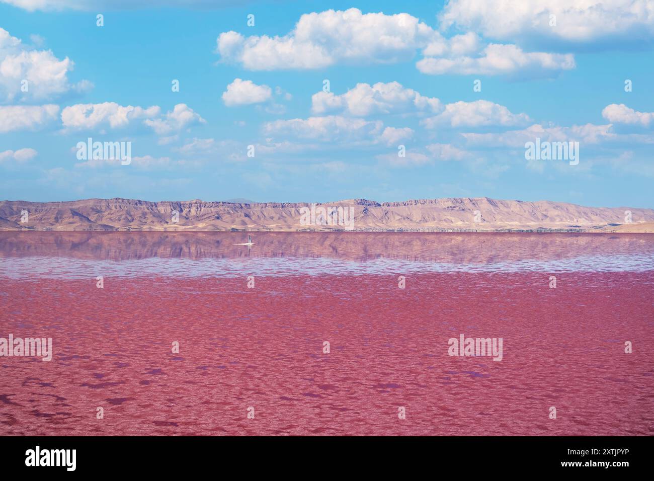 Il lago Maharloo o lago rosa è un lago salato stagionale negli altopiani dell'Iran, vicino alla città di Shiraz. Foto Stock