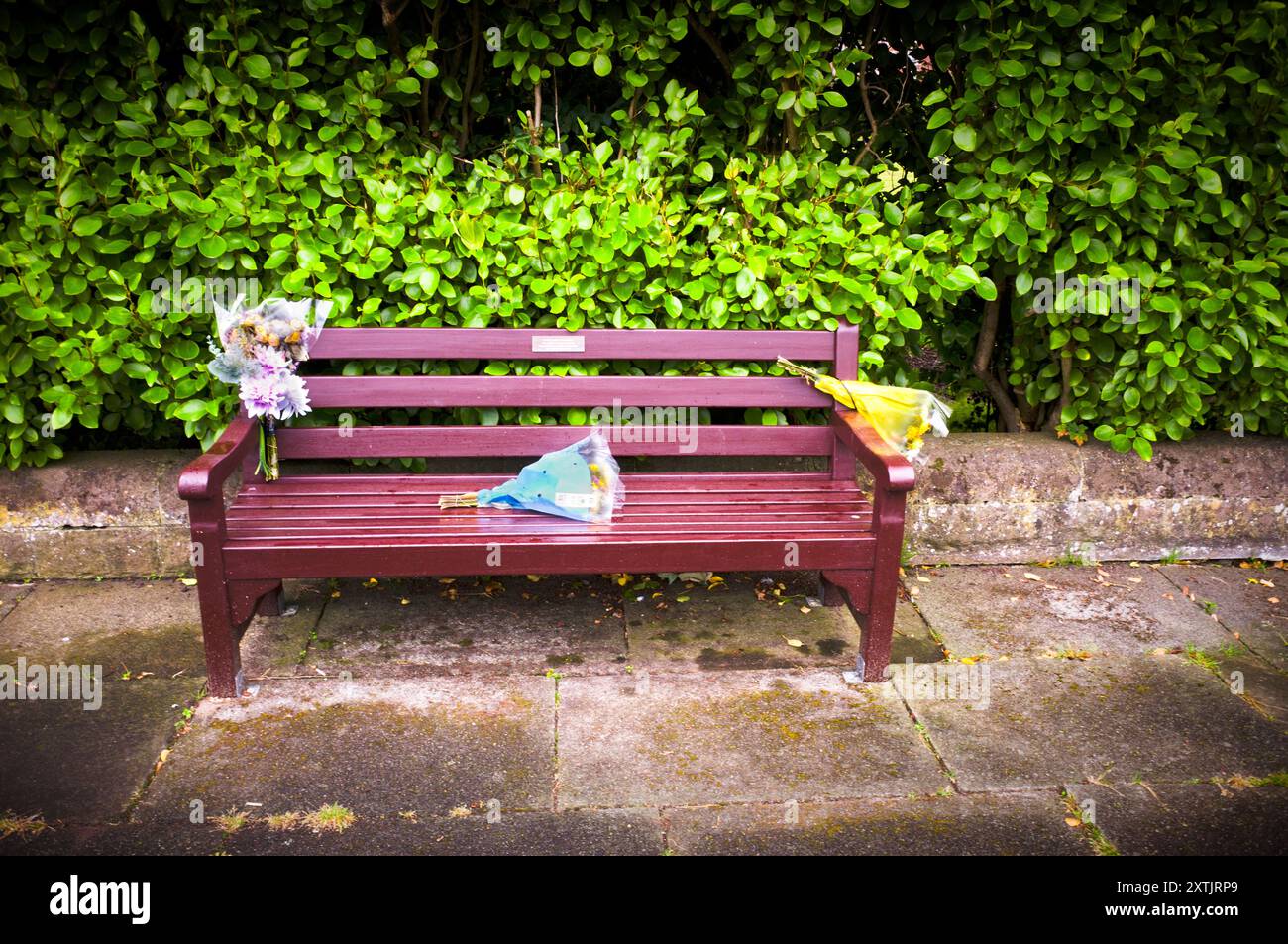 Le panchine sono diventate memoriali per i defunti, ma hanno un costo di lasciar indietro fascette per cavi e rifiuti Foto Stock