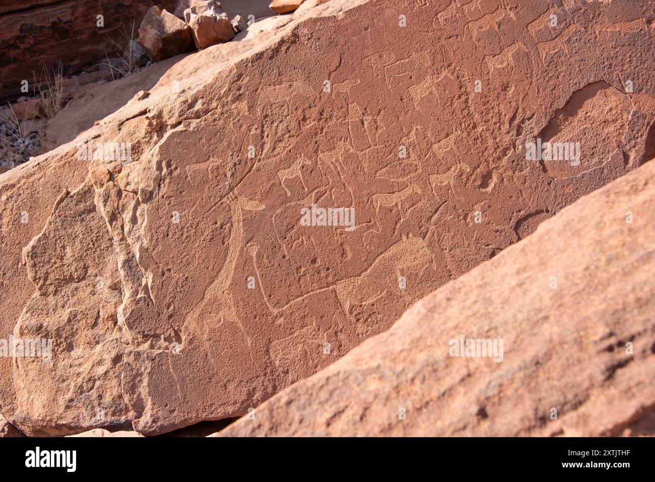 Antiche incisioni rupestri a Twyfelfontein, Damaraland, Namibia. Foto Stock