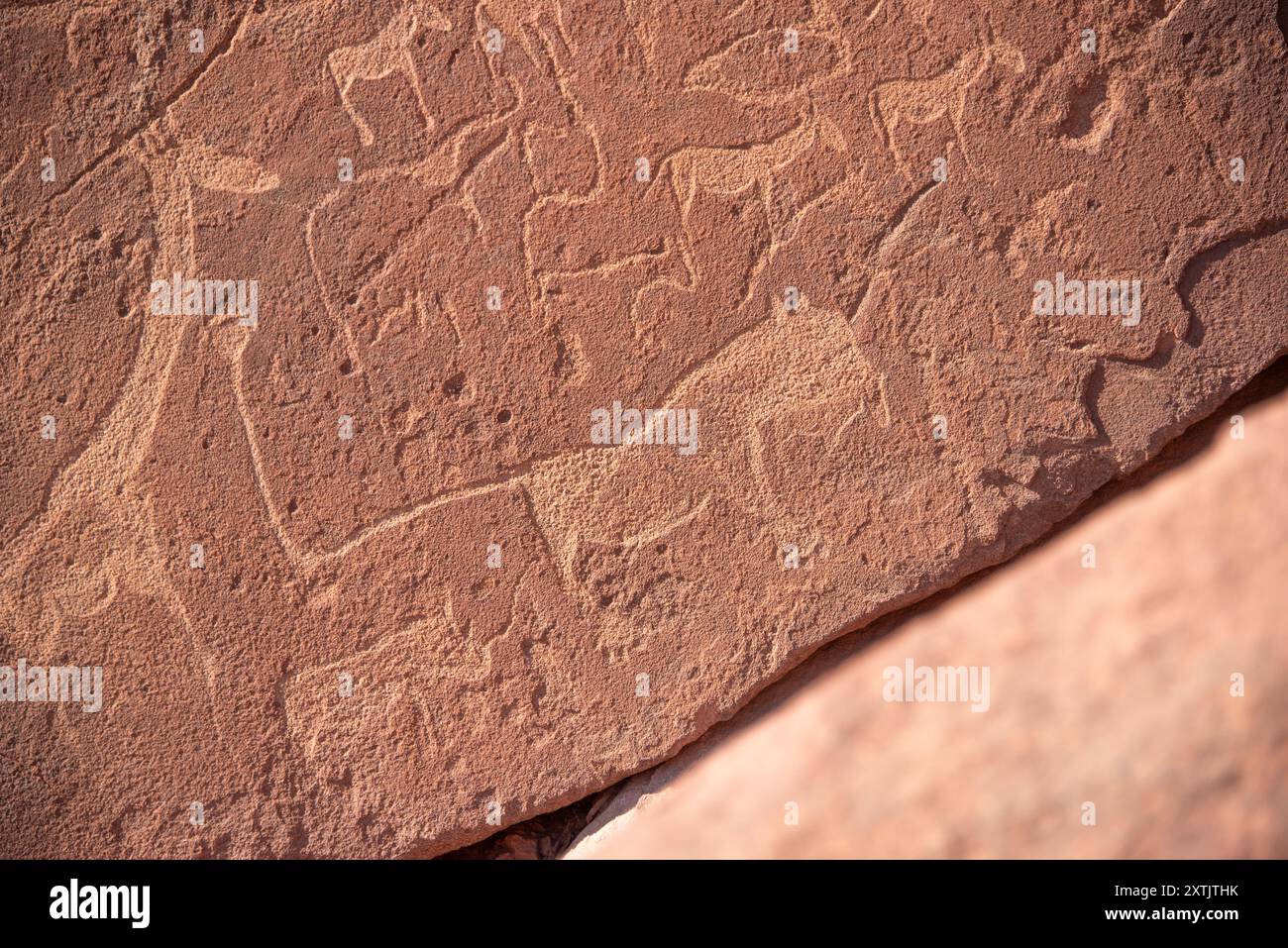 Antiche incisioni rupestri a Twyfelfontein, Damaraland, Namibia. Foto Stock