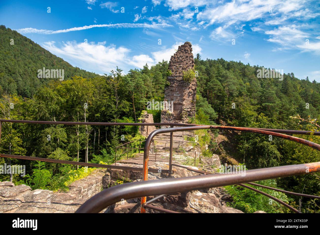 Burg Wasigenstein Elsass, Frankreich. BEI der Burgruine handelt es sich um die Überreste einer mittelalterlichen Felsenburg im Biosphärenreservat Pfälzerwald-Nordvogesen *** Castello di Wasigenstein Alsazia, Francia le rovine del castello sono i resti di un castello rupestre medievale nella riserva della biosfera della Foresta Palatina dei Vosgi settentrionali Copyright: XUdoxHerrmannx Foto Stock