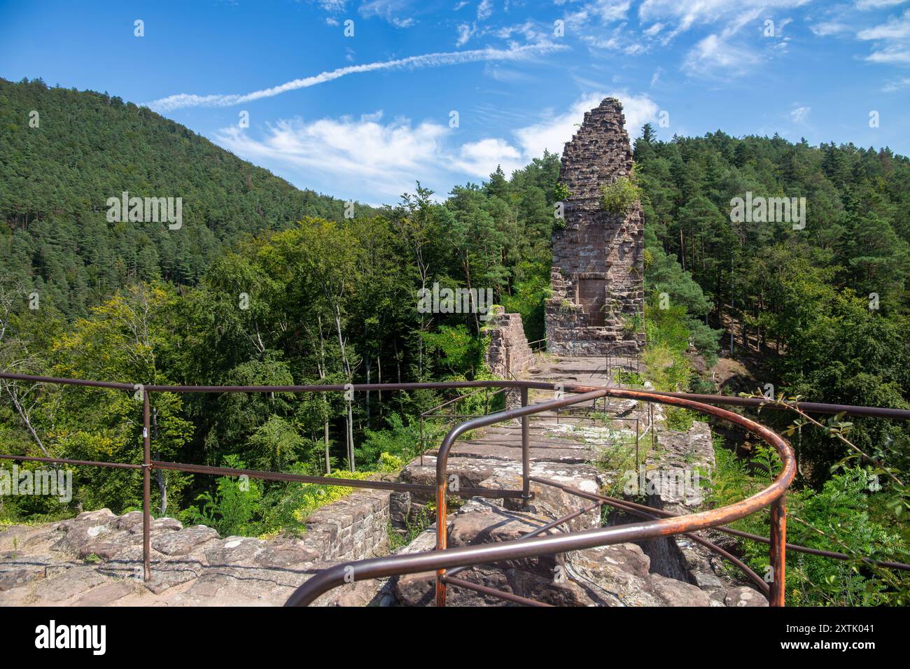 Burg Wasigenstein Elsass, Frankreich. BEI der Burgruine handelt es sich um die Überreste einer mittelalterlichen Felsenburg im Biosphärenreservat Pfälzerwald-Nordvogesen *** Castello di Wasigenstein Alsazia, Francia le rovine del castello sono i resti di un castello rupestre medievale nella riserva della biosfera della Foresta Palatina dei Vosgi settentrionali Copyright: XUdoxHerrmannx Foto Stock