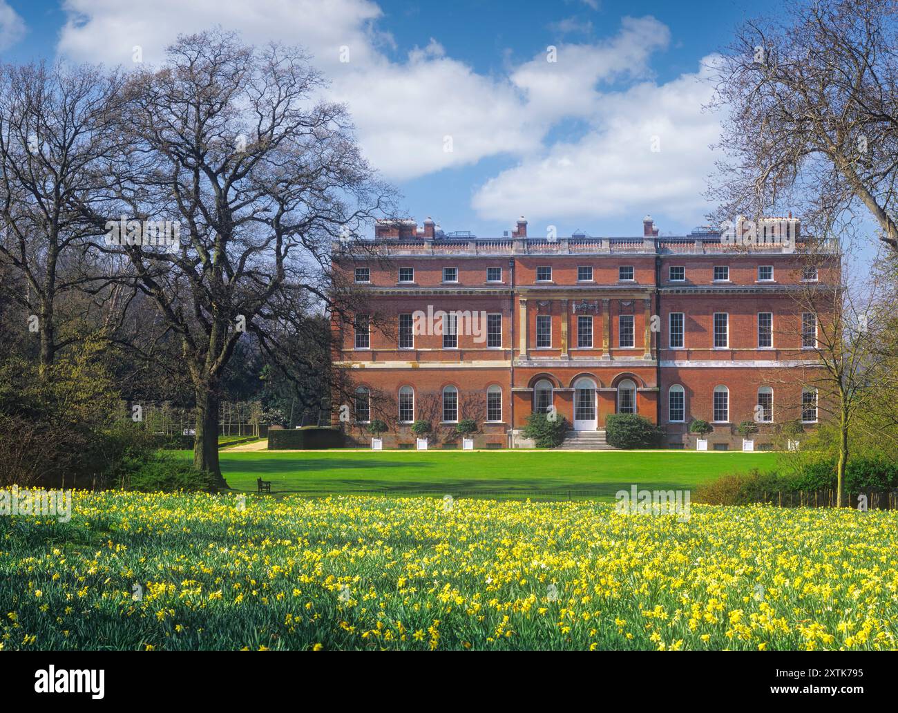 Clandon House (prima del devastante incendio) in primavera, con un campo di lussureggianti tulipani gialli, prelevati dal diritto pubblico di Way Clandon Surrey Regno Unito Foto Stock