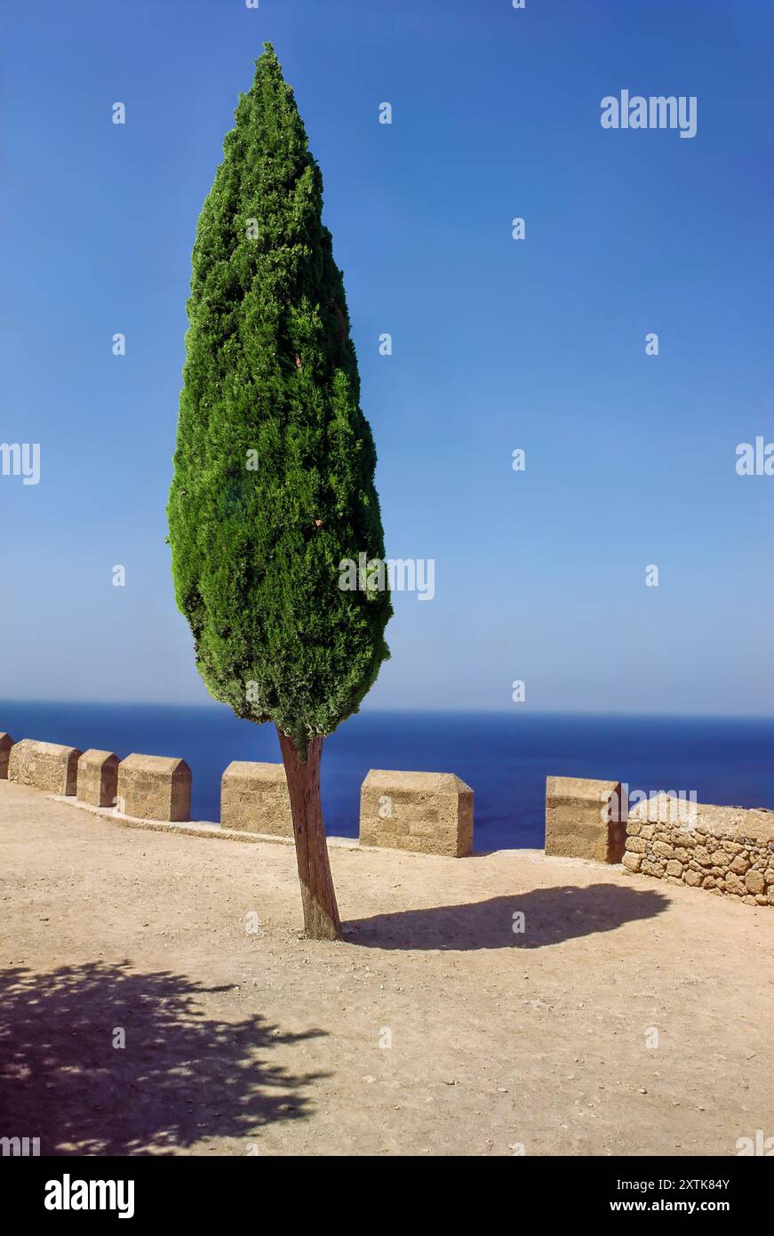 Un cipresso solitario sull'Acropoli di Lindos. Grecia, Europa Foto Stock