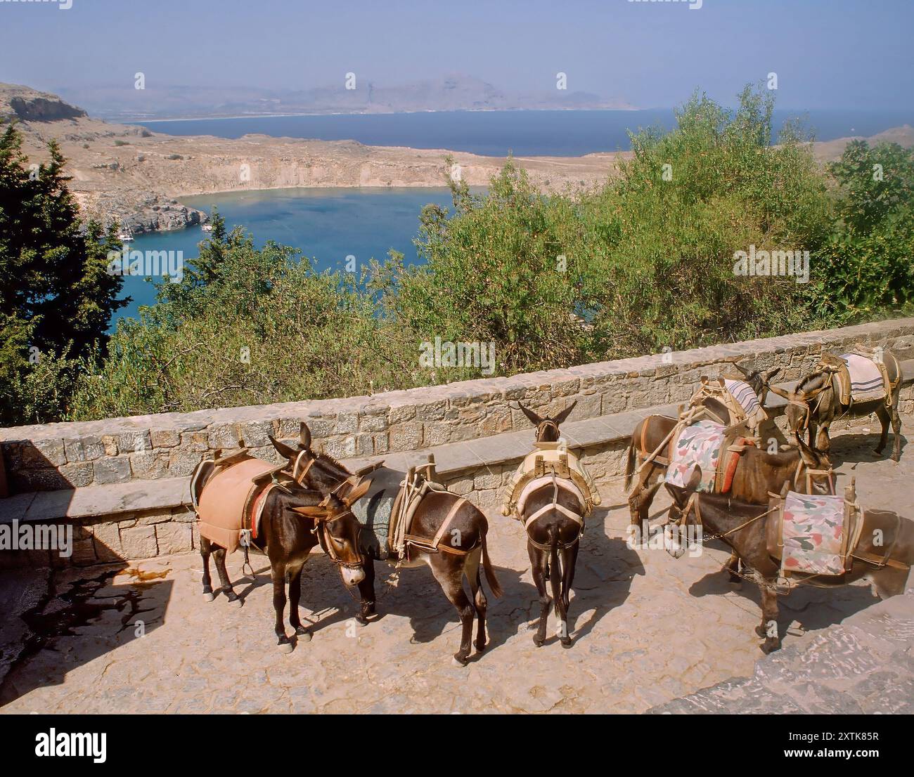 Sali fino all'Acropoli di Lindo sugli asini. Grecia, Europa Foto Stock
