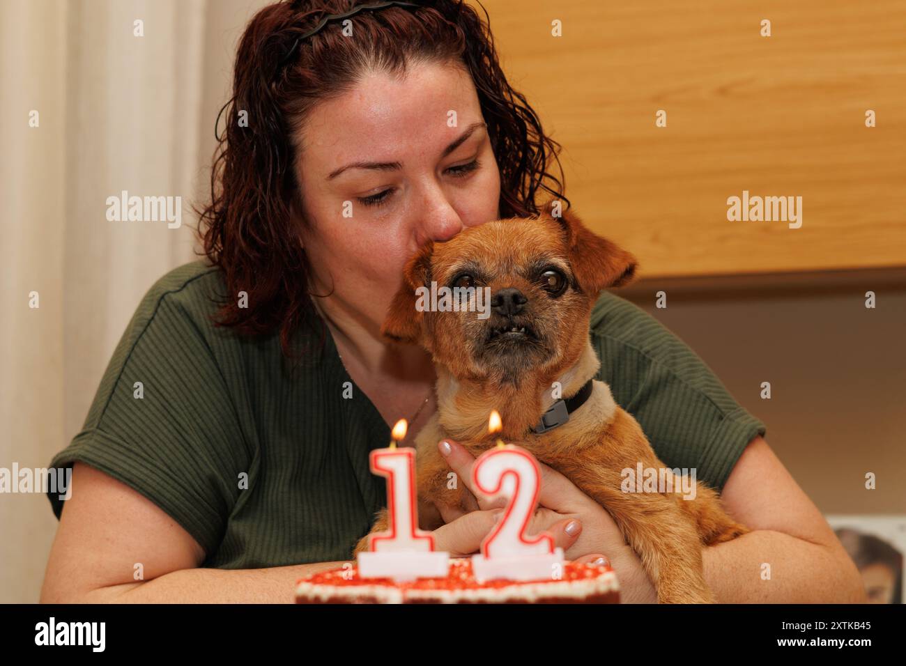 Baciare Nami il cane per il suo compleanno, cane geriatrico di 12 anni di razza mista, Alcoy, Spagna Foto Stock