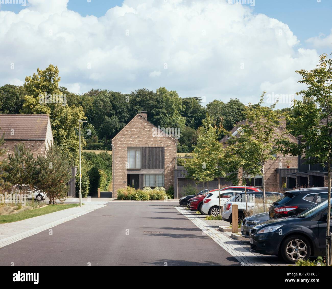 Vista sulla strada con auto e alberi. Lovedon Fields, Kings Worthy, Regno Unito. Architetto: John Pardey Architects, 2017. Foto Stock