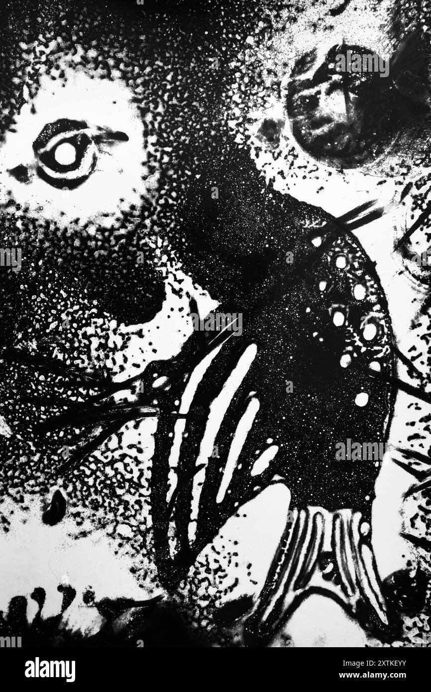 The Creatures We Are in Dreams è un'opera fotografica concettuale creata utilizzando chemigrammi. L'immagine è un volto surreale con un naso a forma di uccello. Foto Stock