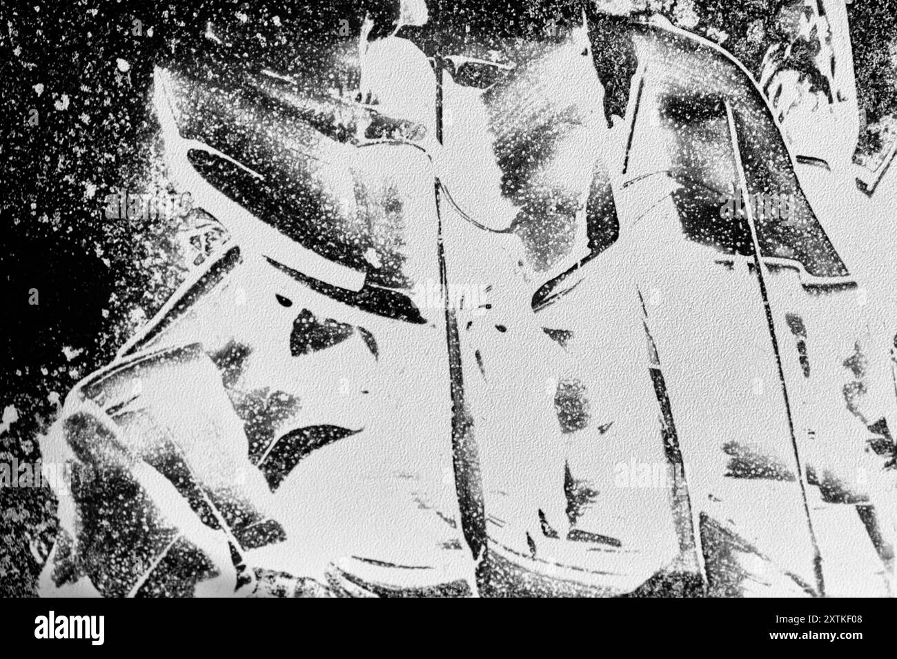 Face in the Mountain è un'opera fotografica concettuale che utilizza chemigrammi. La composizione è di volti all'interno di un paesaggio montano. Foto Stock