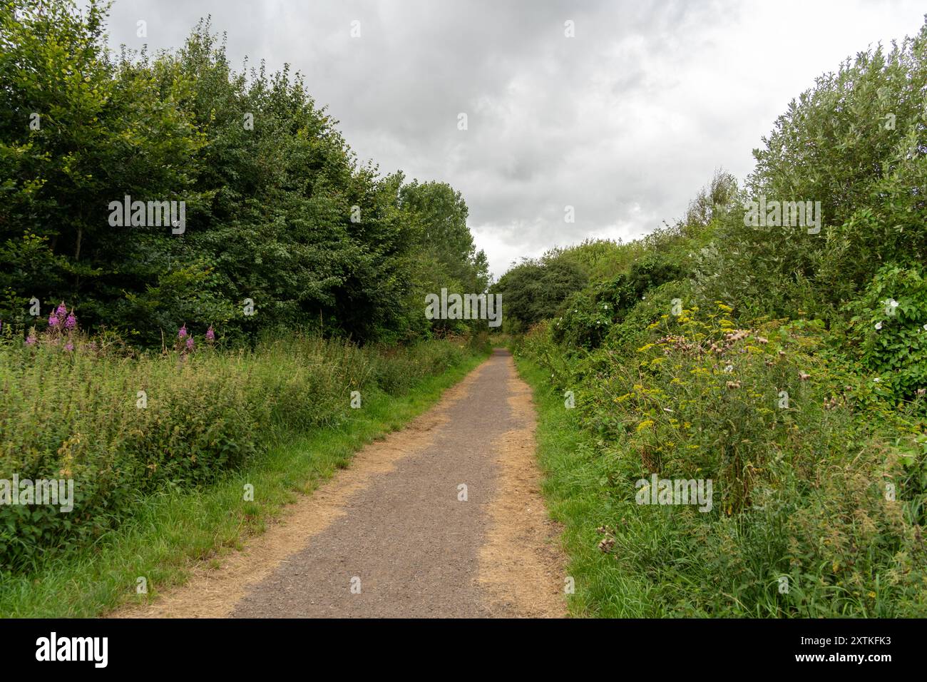 Langley Park, Contea di Durham, Regno Unito. La linea - ex passerella per carbone e minerale di ferro o linea ferroviaria alla periferia dell'ex miniera Foto Stock