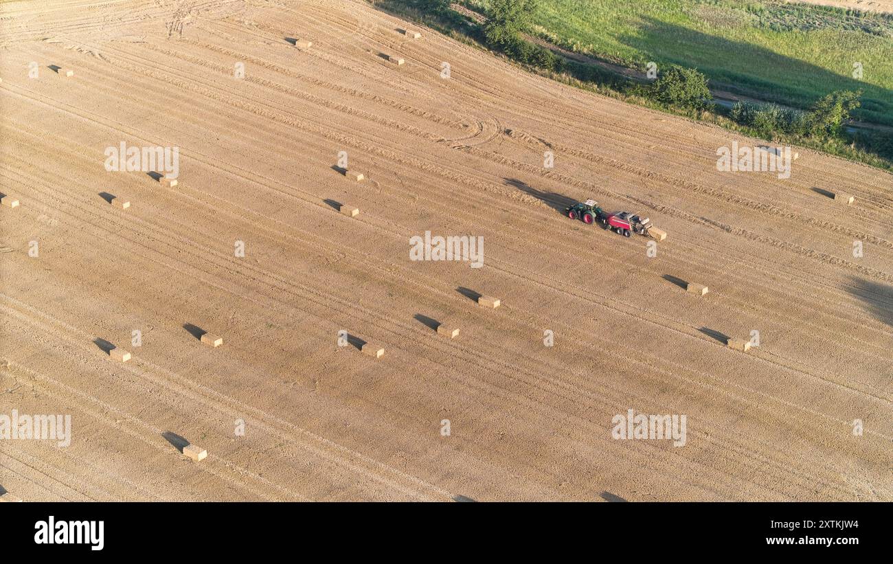 Scatti in droni o immagini aeree del fieno che si riversa in terreni agricoli nella campagna del Norfolk, vicino al Broads National Park, Ludham Norfolk. Foto Stock