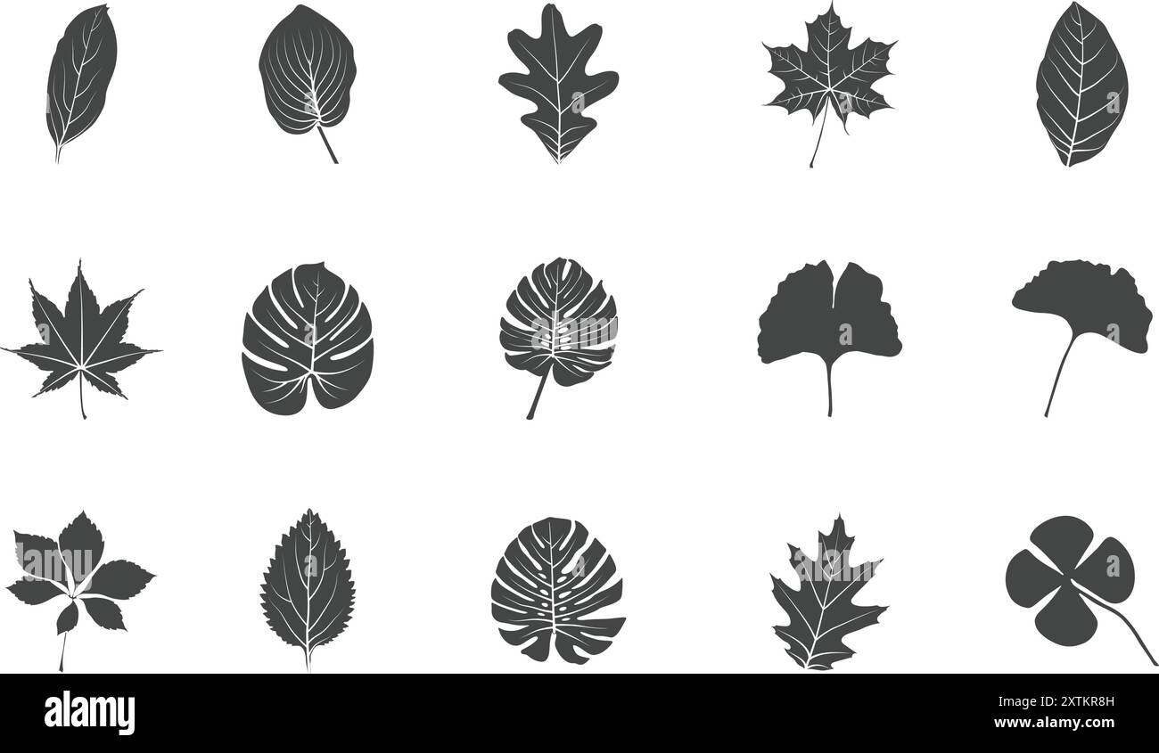 Sagome delle foglie, sagoma delle foglie, foglia, foglie, rami, illustrazione vettoriale, clipart foglia, logo foglie, set di icone foglia, illustrazione vettoriale foglia Illustrazione Vettoriale