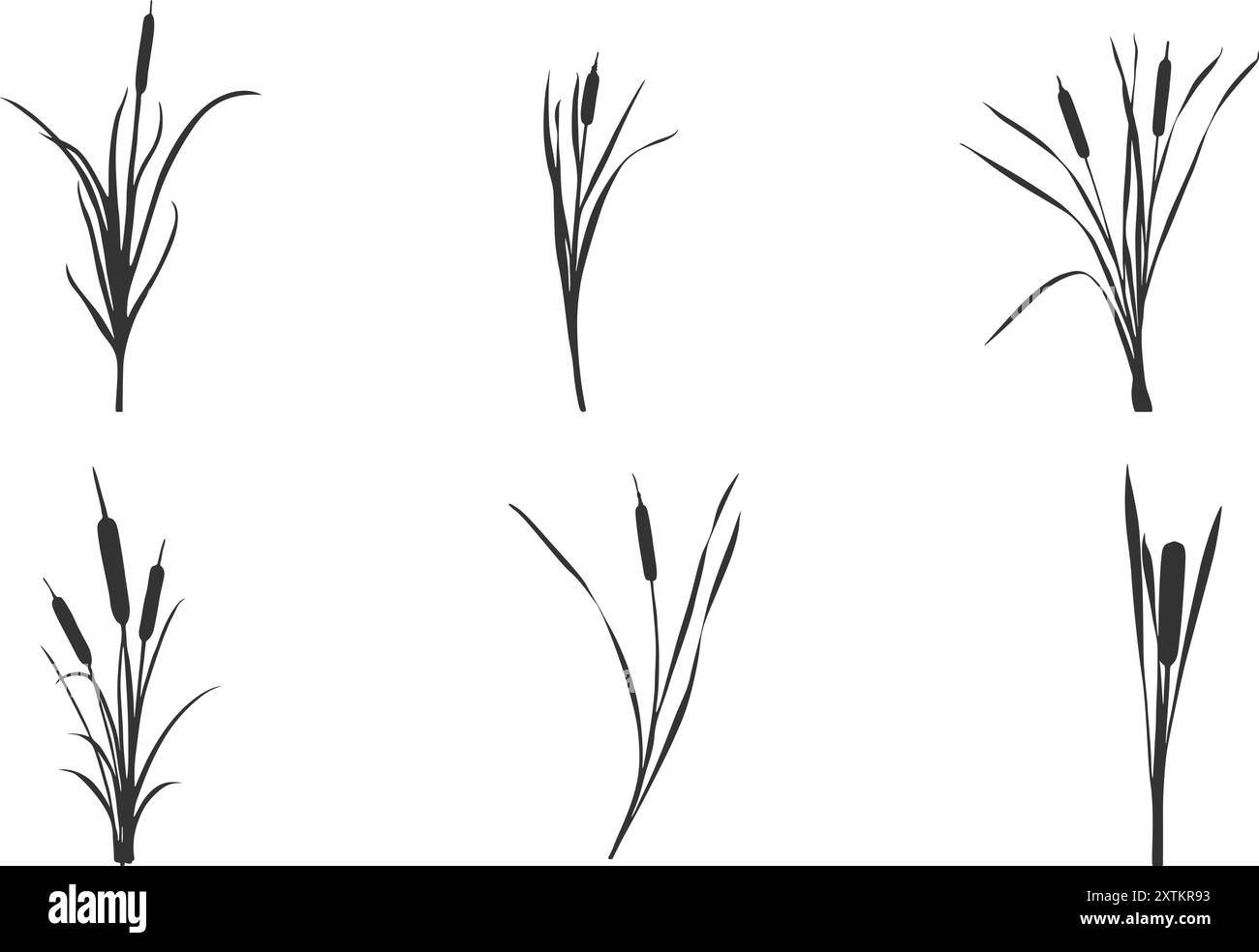 Cattail silhouette, Cattail Plant silhouette, canne e silhouette cattail, Cattail Plants Vector, Cattail Vector Set. Illustrazione Vettoriale