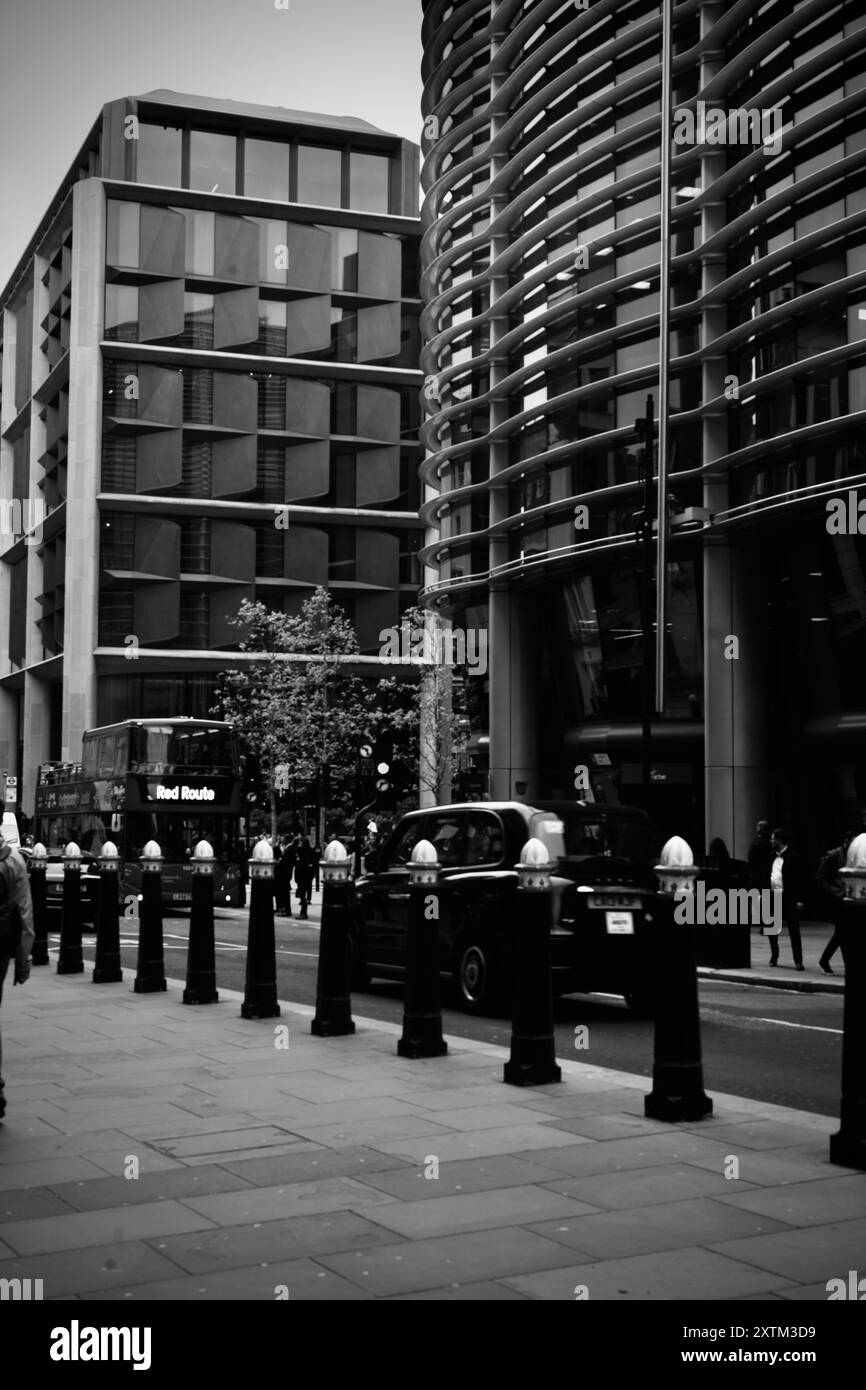 momenti indimenticabili catturati dalla mia fotocamera Foto Stock