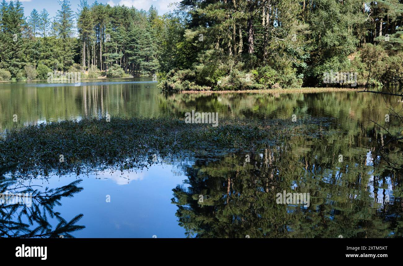 Beecraigs Country Park loch, vicino a Linlithgow, Scozia Foto Stock