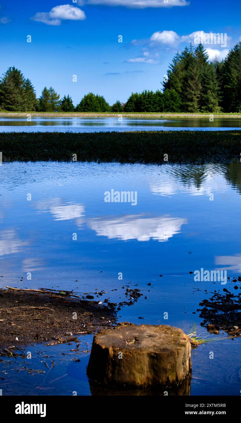 Beecraigs Country Park loch, vicino a Linlithgow, Scozia Foto Stock