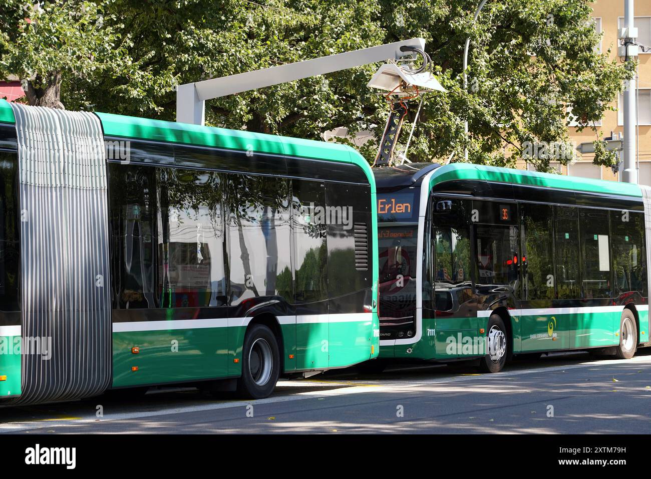 Anton Geisser 15.08.2024 Basilea Svizzera. Bild : Elektro Ladestation Basler Trolleybus Ladearm auf dem Dach des Busses dockt an die Ladestation AN *** Anton Geisser 15 08 2024 Basilea Svizzera immagine stazione di ricarica elettrica filobus di Basilea braccio di ricarica sul tetto dell'autobus si aggancia alla stazione di ricarica Foto Stock