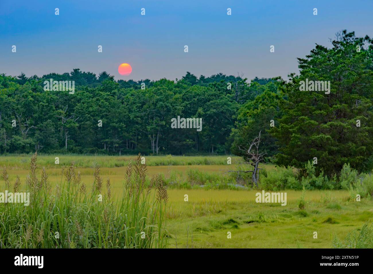 Newbury, Massachusetts, Salt Marsh Summer Sunset Foto Stock