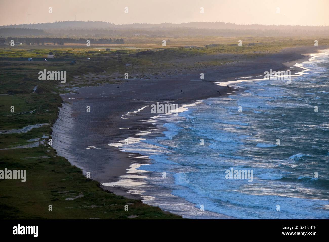 Vista panoramica lungo il sentiero escursionistico del Mare del Nord a Svinklovene, sulla costa del Mare del Nord dello Jutland, nella Danimarca settentrionale Foto Stock