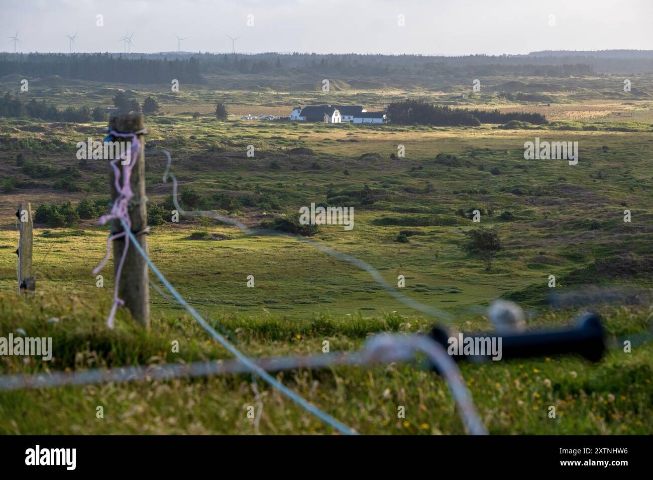 Vista panoramica lungo il sentiero escursionistico del Mare del Nord a Svinklovene, sulla costa del Mare del Nord dello Jutland, nella Danimarca settentrionale Foto Stock