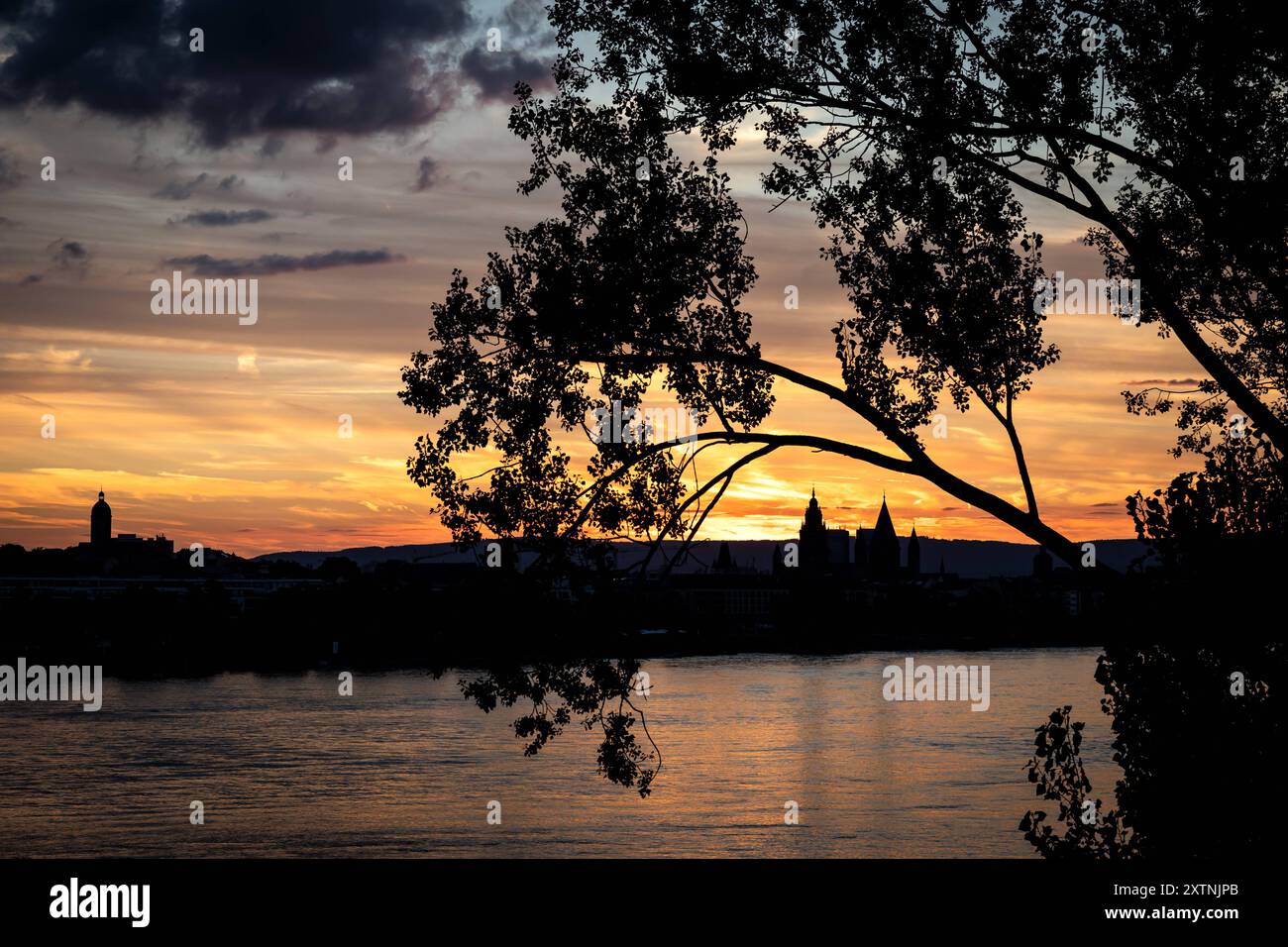 15.08.2024 - impressione: Sonnenuntergang an einem schönen Sommerabend über Mainz Rheinland-Pfalz. Im Vordergrund ist der Rhein zu sehen. Mainz Südbrücke Rheinland-Pfalz Deutschland *** 15 08 2024 Impression tramonto in una splendida serata estiva su Magonza Renania Palatinato il Reno può essere visto in primo piano Mainz Ponte Sud Renania Palatinato Germania Copyright: XBEAUTIFULxSPORTS/RaphaelxSchmittx Foto Stock