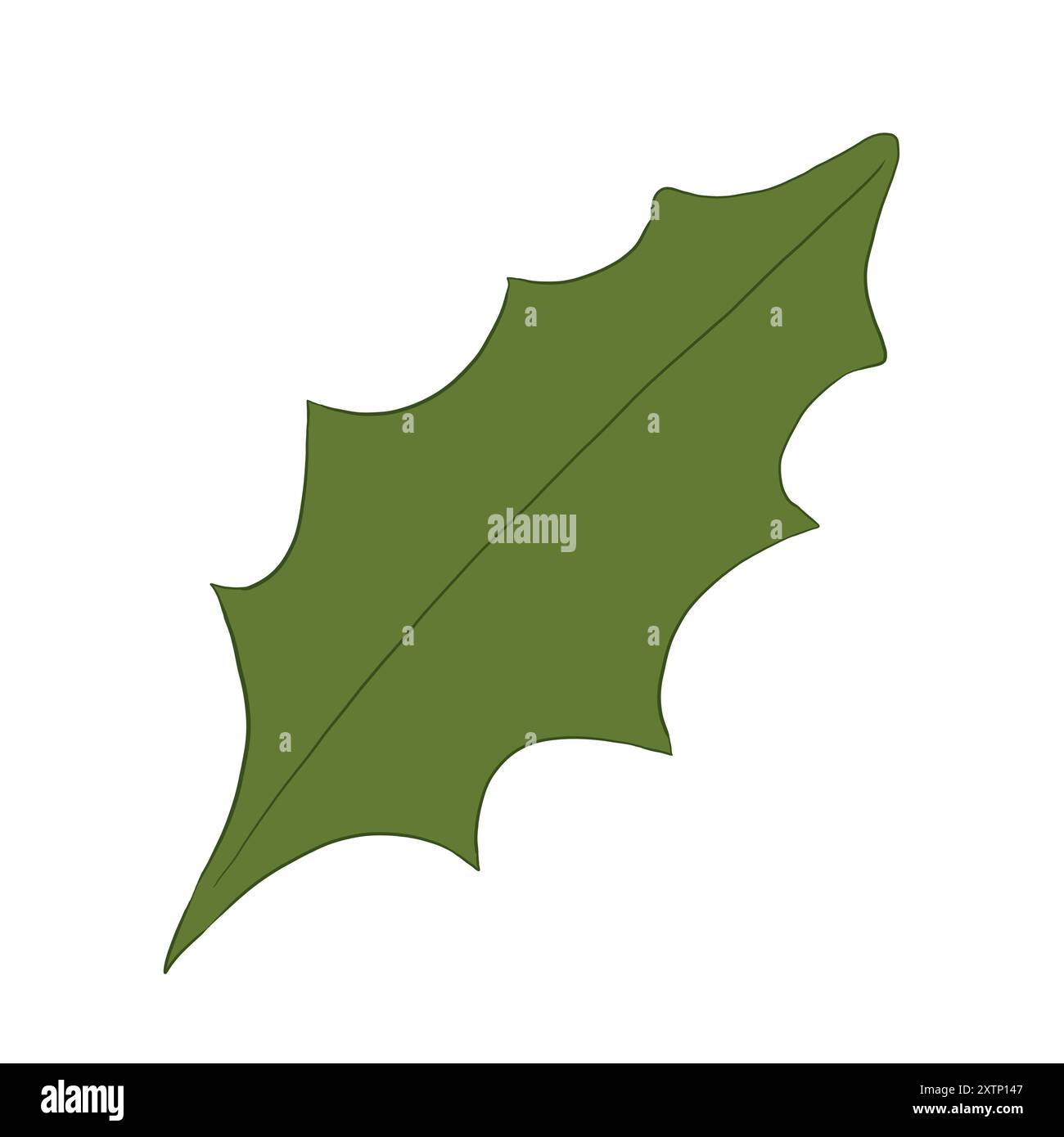 Foglia verde della pianta holly, illustrazione a colori Foto Stock