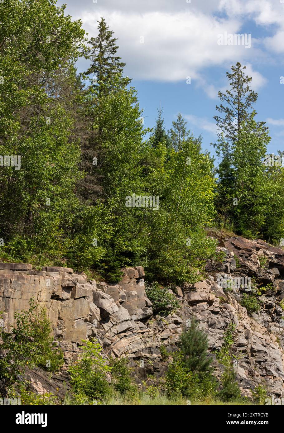 Parete rocciosa di Muskoka alberi sempreverdi e decidui sotto il cielo blu Foto Stock