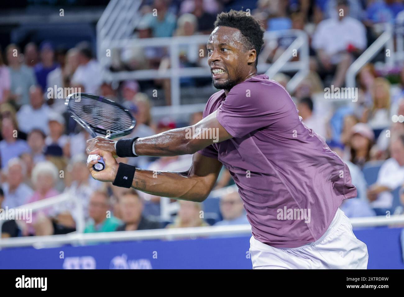 Mason, Ohio, Stati Uniti. 15 agosto 2024. Gael Monfils (fra) in azione durante il round di Cincinnati Open di giovedì presso il Lindner Family Tennis Center di Mason, Ohio. (Credit Image: © Scott Stuart/ZUMA Press Wire) SOLO PER USO EDITORIALE! Non per USO commerciale! Foto Stock