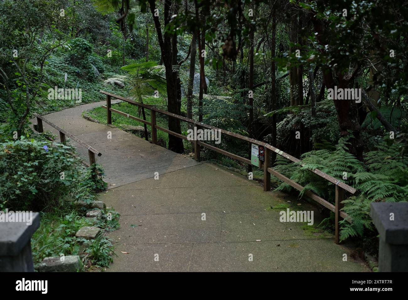 Percorso attraverso il parco presso la storica Vaucluse House, alberi, piante e fino a Olola Avenue e poi a Hopetoun Ave Sydney, Australia Foto Stock