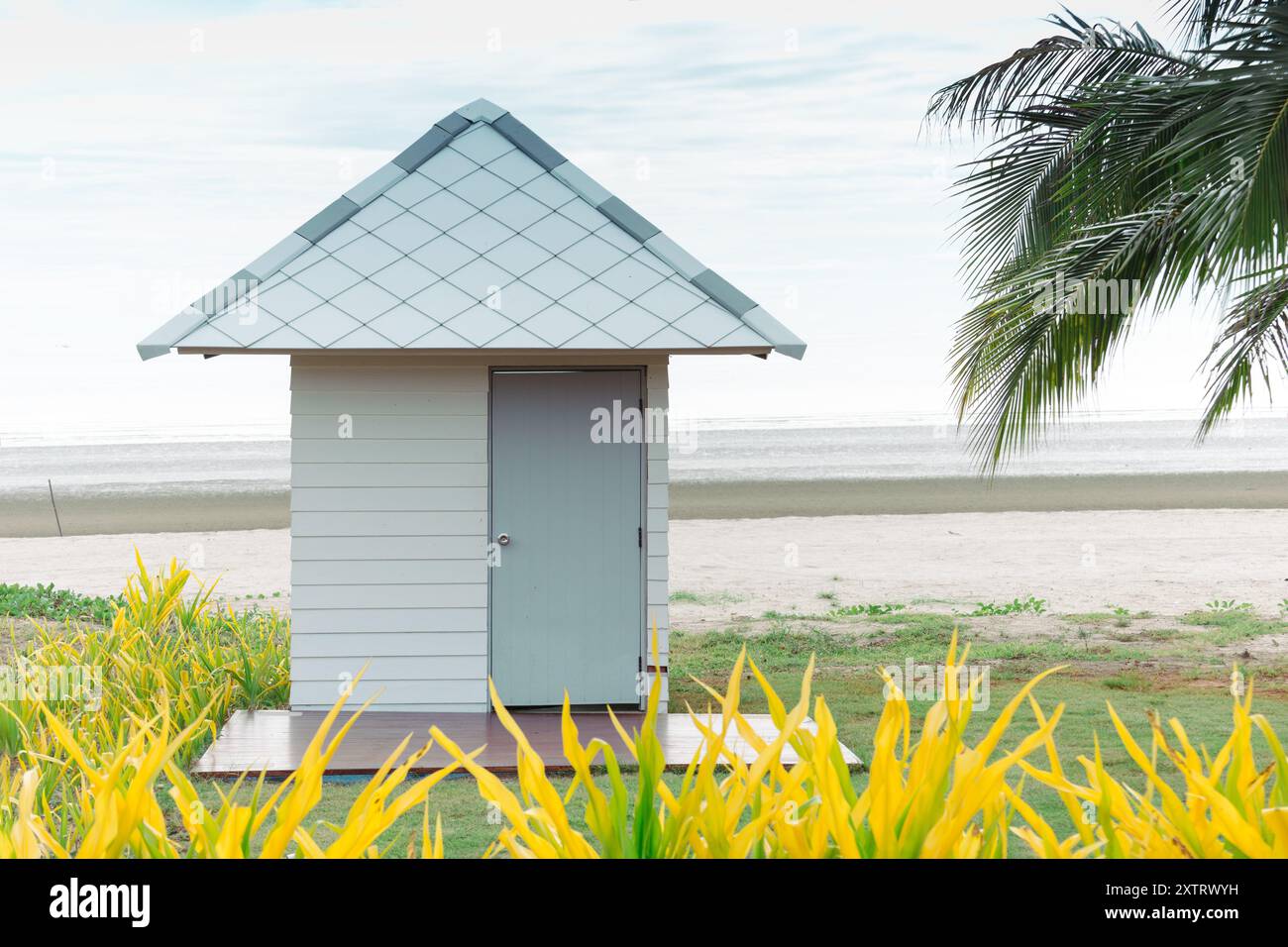 Una cabina sul mare solitaria si erge su un tranquillo sfondo di spiaggia, fiancheggiata da lussureggiante vegetazione tropicale e palme, evocando un senso di pace isola Foto Stock