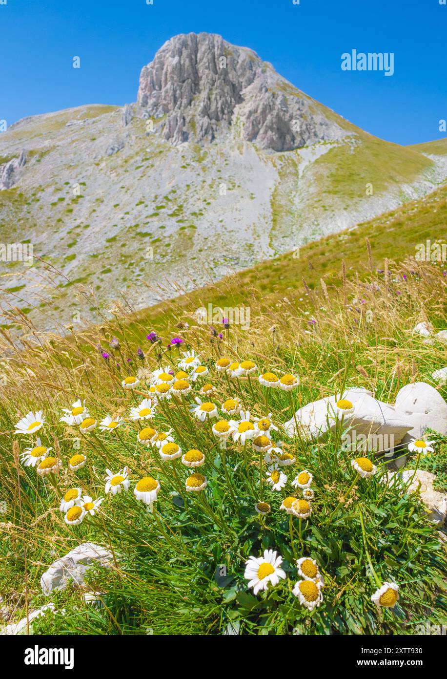 Gran Sasso, Italia - la vetta dell'Italia centrale, regione Abruzzo, con escursionisti e paesaggi mozzafiato. Qui con il sentiero del Monte Camicia. Foto Stock