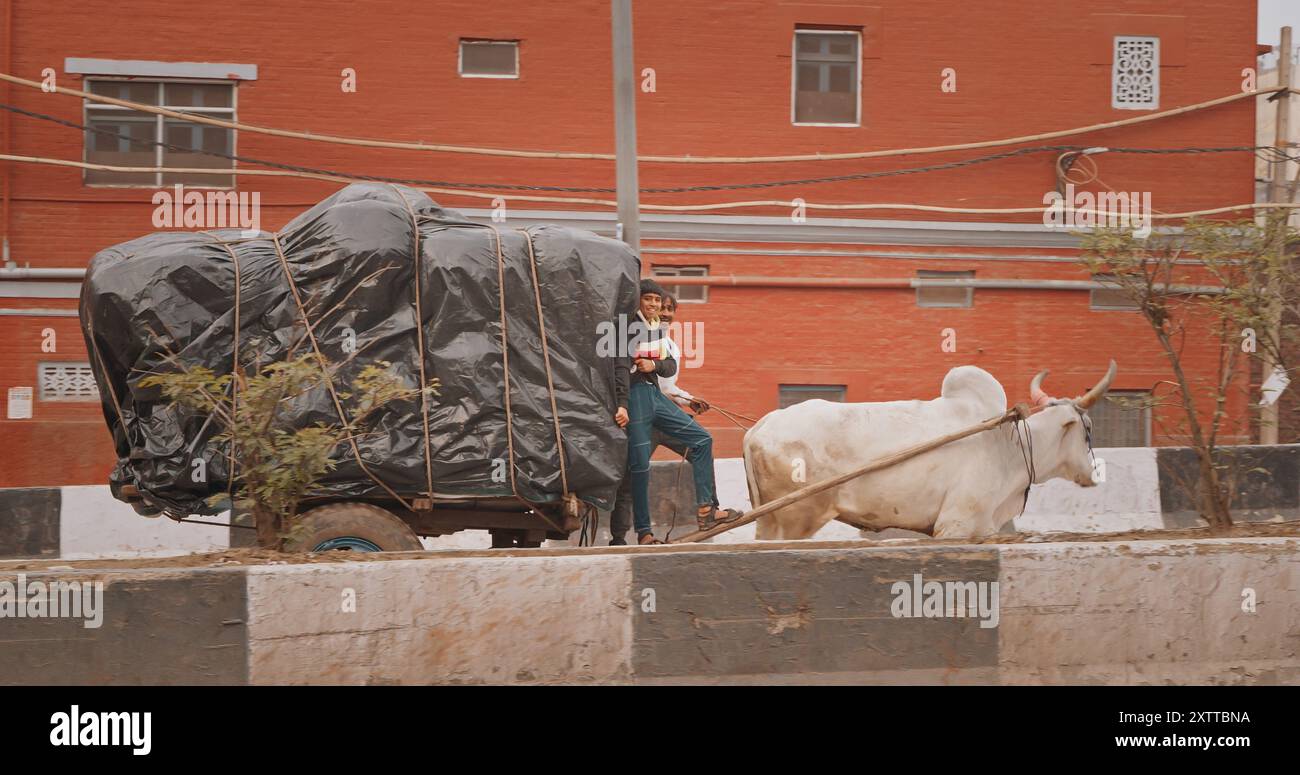 Nuova Delhi, Delhi, India. Il bufalo indiano tira un carrello carico di carichi. l'uomo trasporta un carico carico carico. Traffico sulla strada Desh Bandhu Gupta. Foto Stock