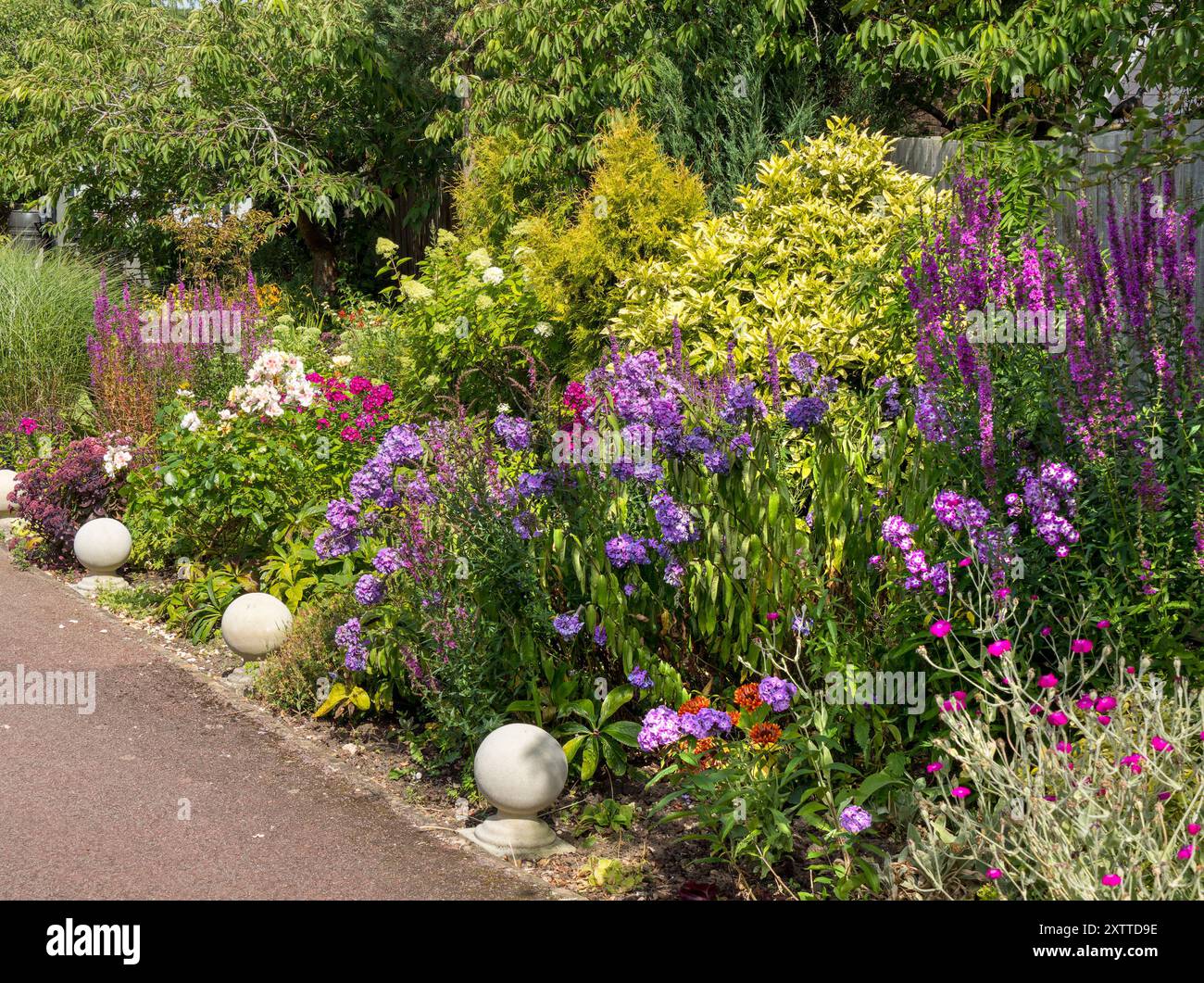 Attraente e profondo giardino interno con un mix di arbusti e piante perenni a luglio / agosto, Leicestershire, Inghilterra, Regno Unito Foto Stock
