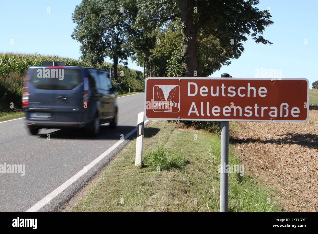 Blick am Dienstag 13.08.2024 unweit von Ziddorf Landkreis Rostock auf eine Deutsche Alleenstraße. Meclemburgo Vorpommern ist das Land der alleen. Laut einer Pressemitteilung die der Bund für Umwelt und Naturschutz Deutschland BUND Landesverband Mecklenburg-Vorpommern e.V. im Jahr 2022 herausgegeben Hat gibt es im Land etwa 4150 km alleen und 10,400 km Baumreihen. Damit steht das Bundesland an zweiter stelle hinter Brandenburg, das mit 4475 km alleen u. 10,560 km Baumreihen das alleenreichste Bundesland ist. Dennoch ist ein schleichender Rückgang bei den alleen zu ve Foto Stock