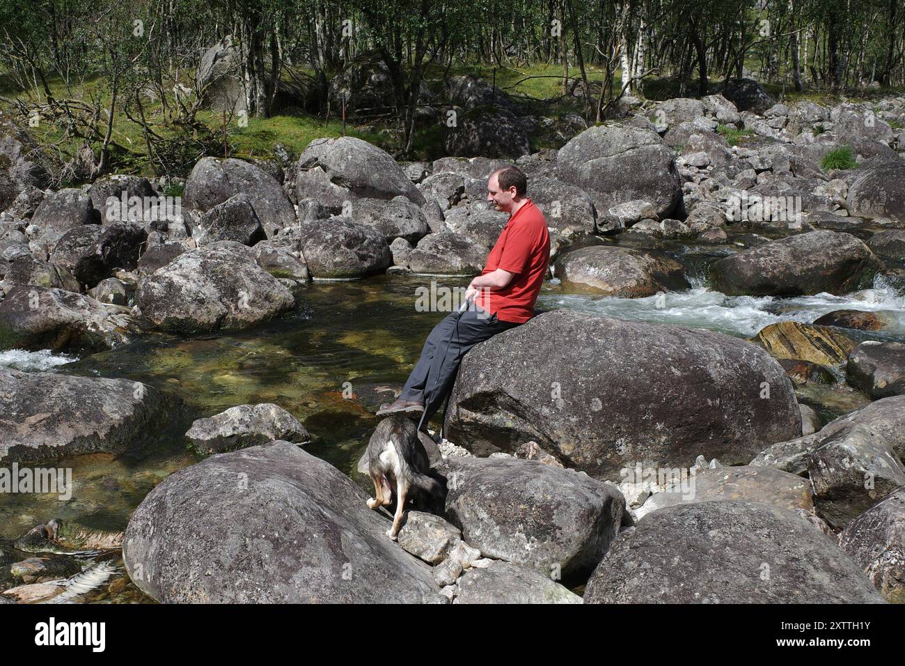 Un uomo aspetta che il suo cane da mongrel si estingua la sete in un piccolo fiume di montagna in Norvegia Foto Stock