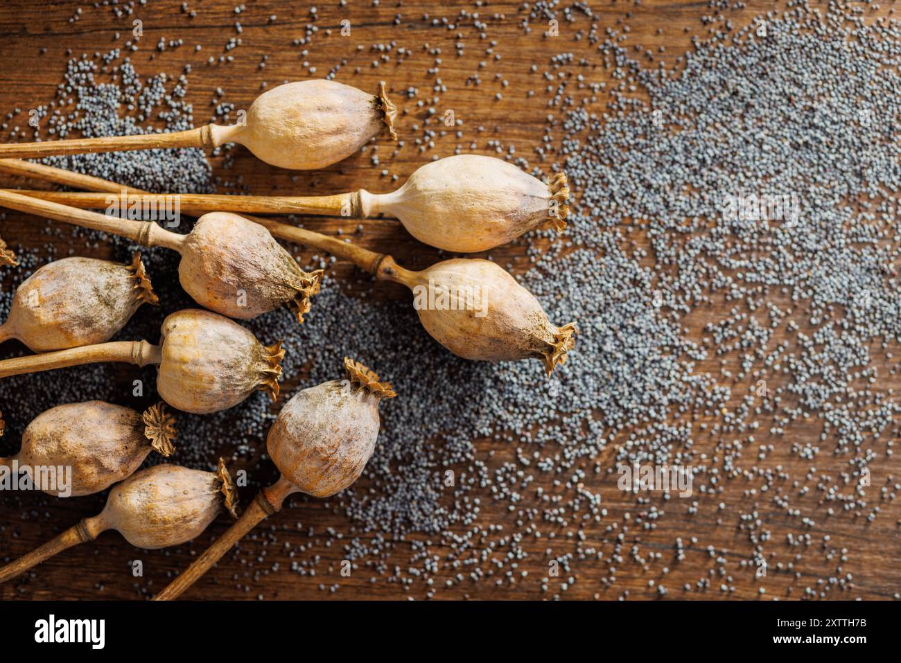 Asciugare i semi di papavero e la testa di papavero su un tavolo di legno. Foto Stock