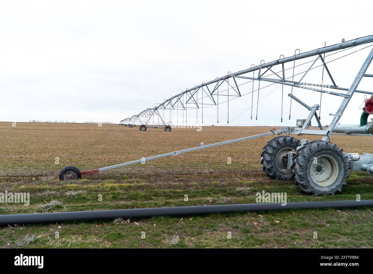 Orientati verso campi di grano che coltivano acqua Foto Stock