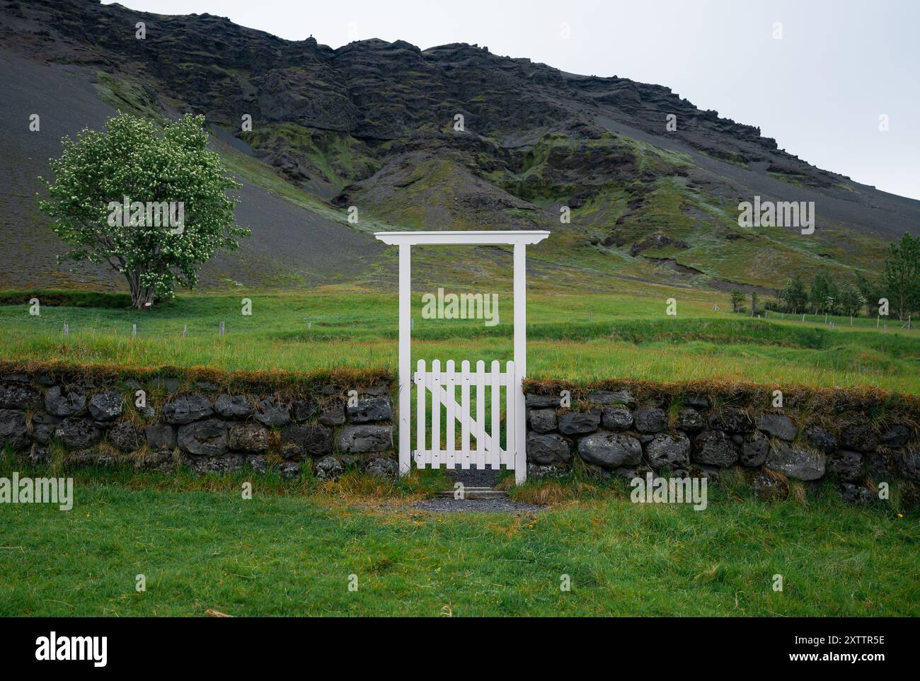 Cancello di legno bianco su una collina erbosa in Islanda Foto Stock