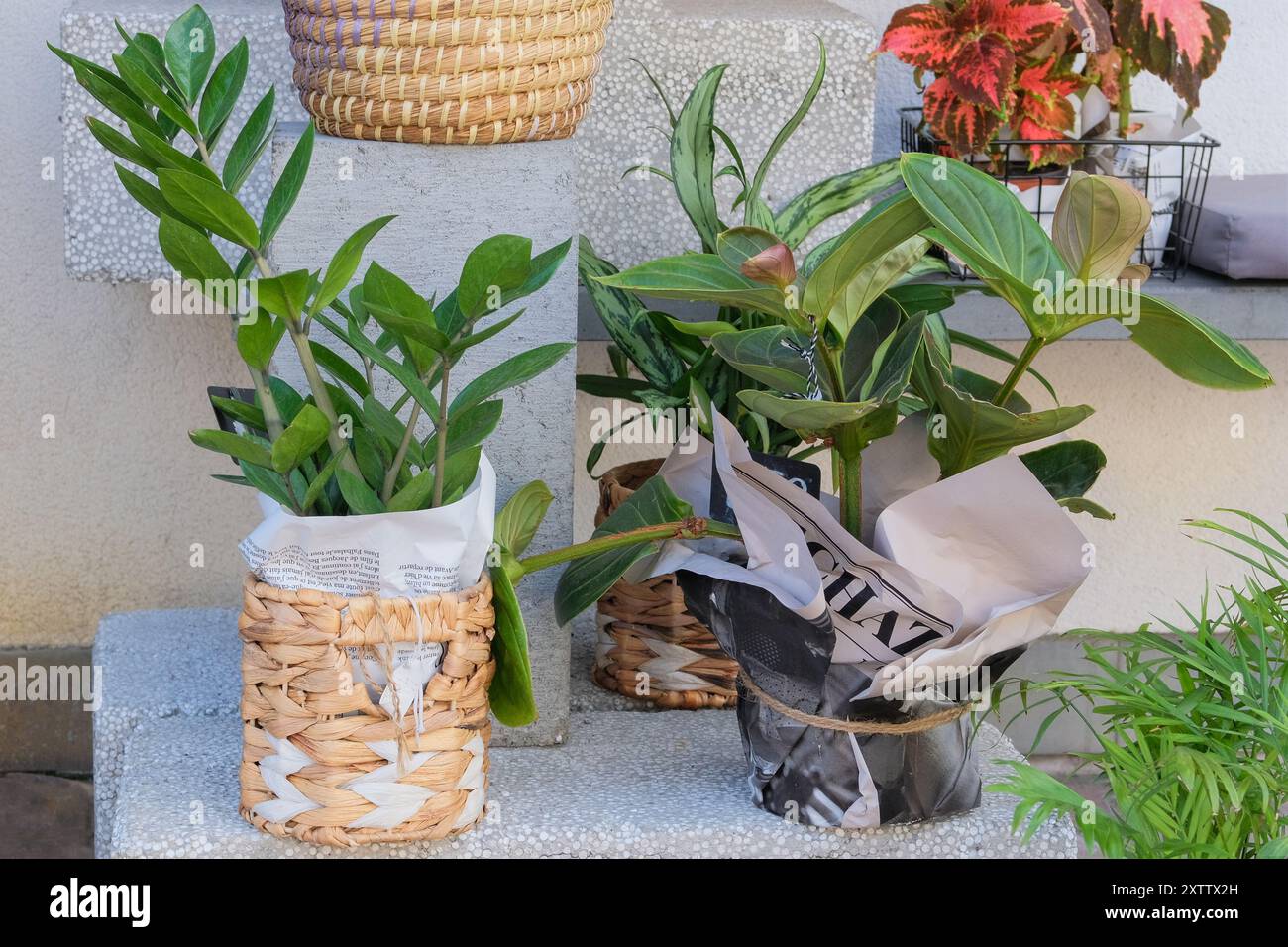 Negozio di fiori e mazzi. Vendita di fiori e regali per le vacanze. Acquista decorazioni. Foto Stock