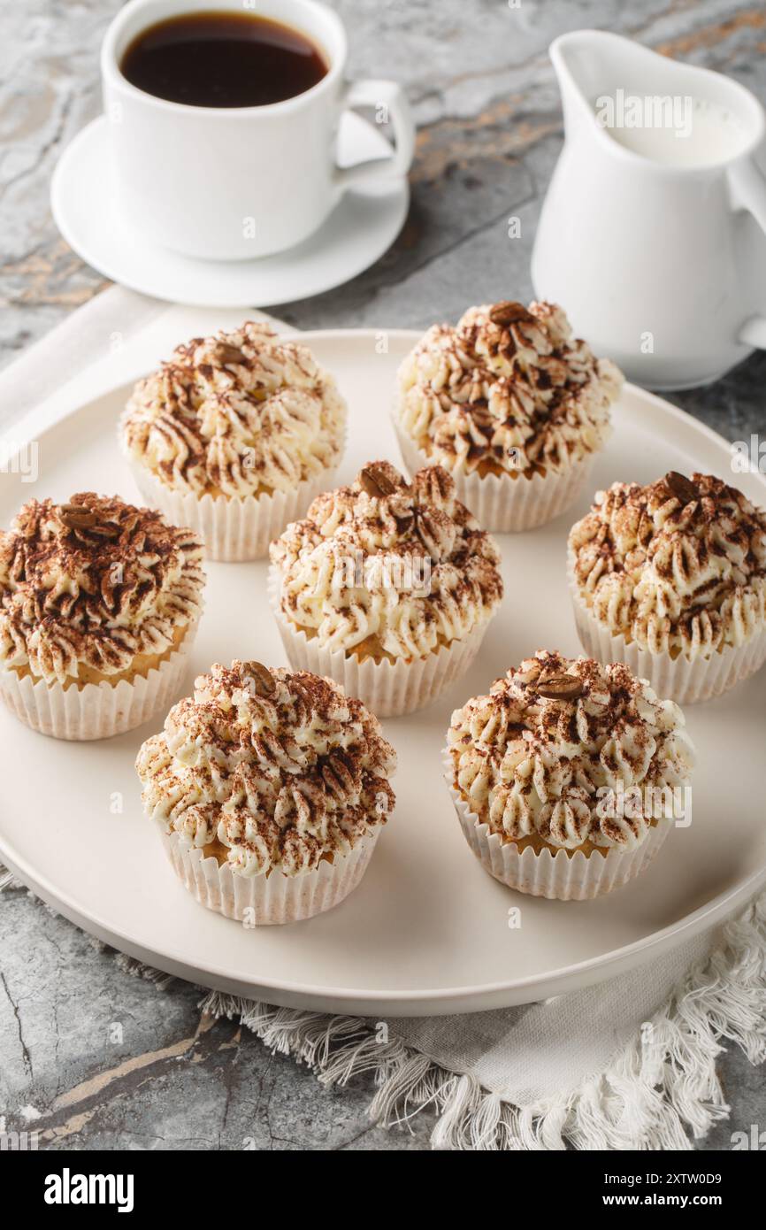 Cupcakes tiramisù con glassa di cacao Mascarpone sul piatto del tavolo. Verticale Foto Stock