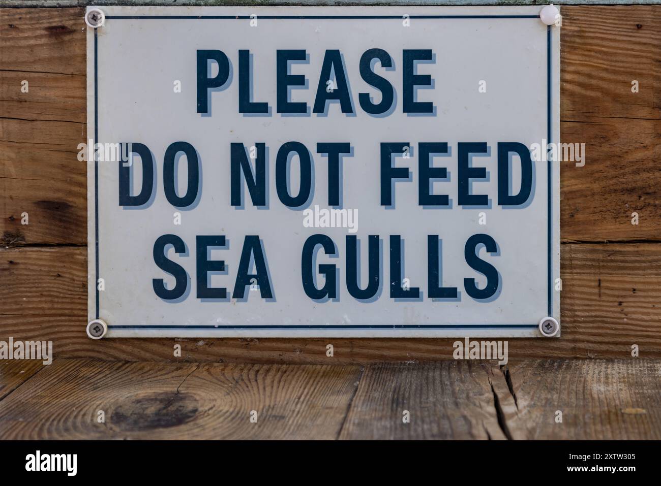 Primo piano di un cartello che chiede alla gente di non dar da mangiare ai gabbiani Foto Stock