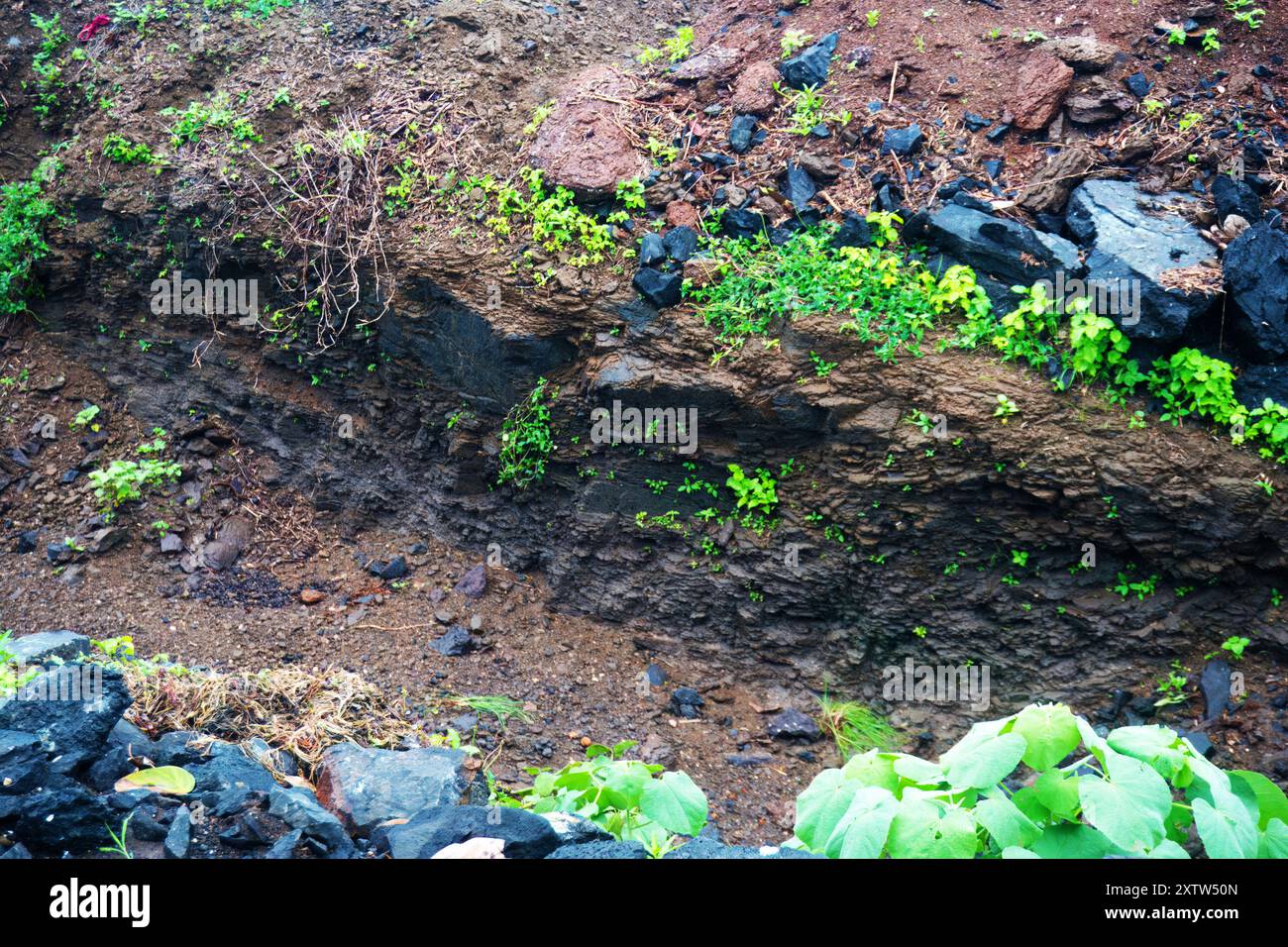 Un percorso rurale che arriva a bordo strada, mettendo in risalto un oggetto dimenticato annidato nella tranquilla bellezza del paesaggio naturale Foto Stock