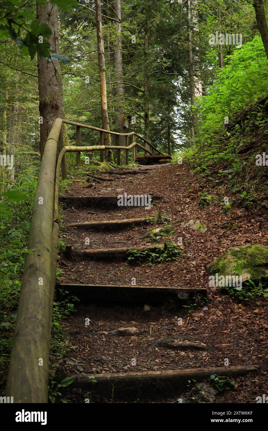 Sentiero escursionistico Rabenschlucht (Gola del Raven) a Todtmoos, alta Foresta Nera germania Foto Stock