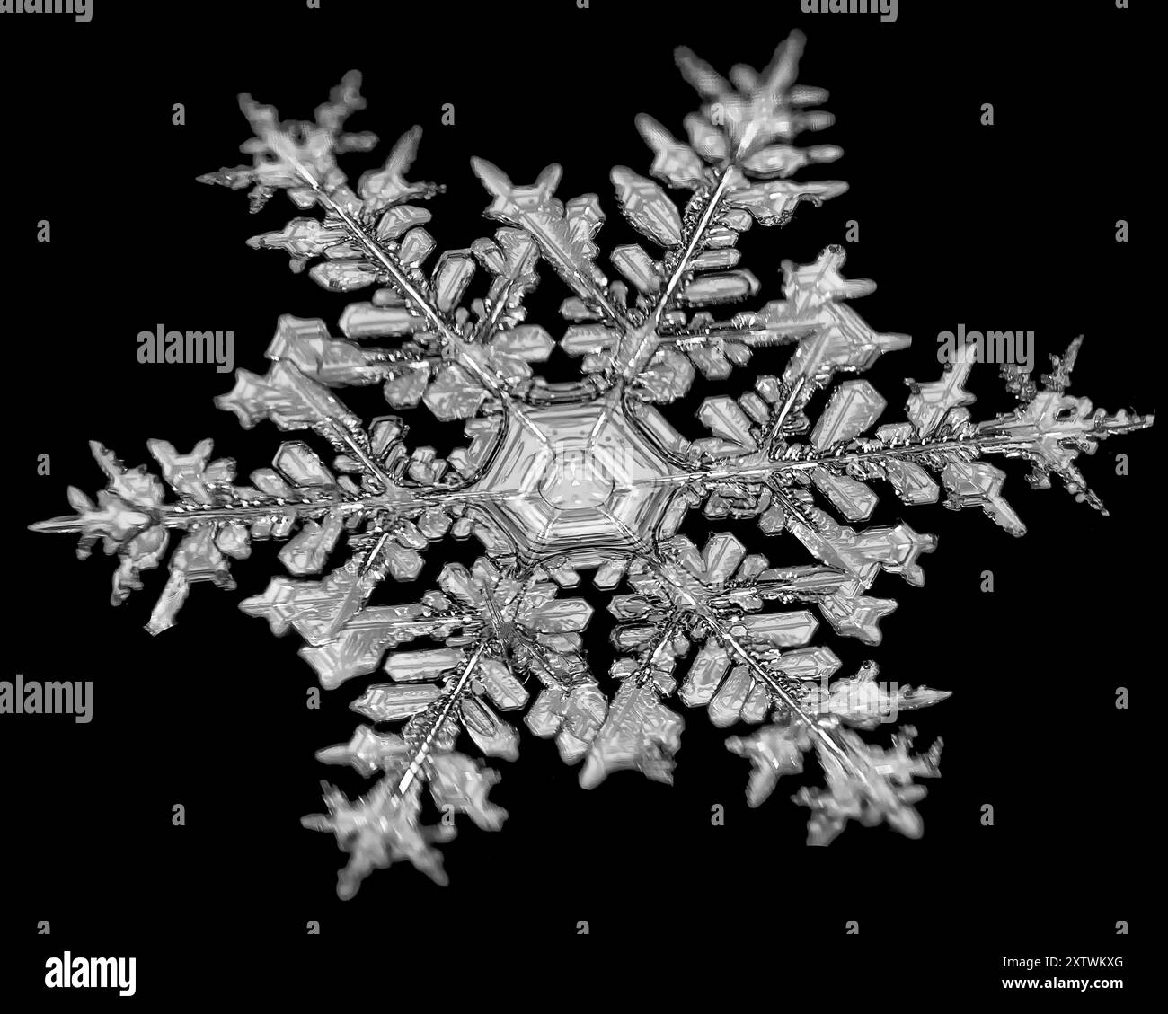 Foto macro di un singolo fiocco di neve con motivi intricati su sfondo nero. Foto Stock